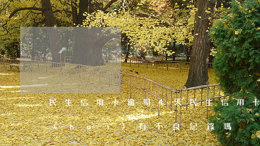 民生信用卡逾期4天(民生信用卡逾期4天會(huì)有不良記錄嗎)