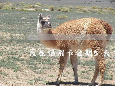 民生信用卡逾期5天才還