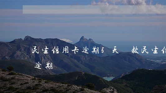民生信用卡逾期5天補救(民生信用卡4天算逾期嗎)