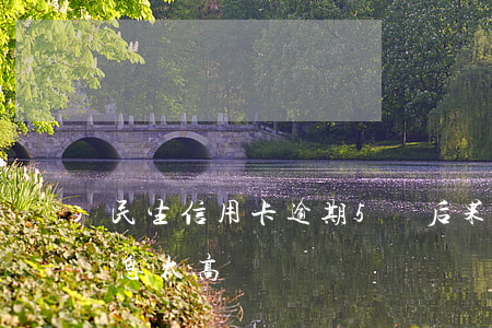 民生信用卡逾期5萬后果(民生信用卡逾期利息太高)