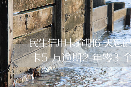 民生信用卡逾期6天忘记了(欠民生银行信用卡5万逾期2年零3个月为还款)