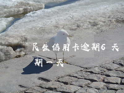 民生信用卡逾期6天會鎖卡嗎(民生信用卡 逾期一天)