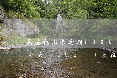 民生信用卡逾期70000(民生信用卡逾期一天會(huì)上征信記錄嗎)