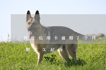 民生信用卡逾期7个月-民生信用卡2万逾期多久起诉