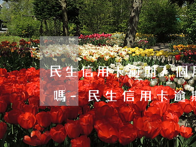 民生信用卡逾期7個月可以協(xié)商嗎-民生信用卡逾期7個月可以協(xié)商嗎還款嗎