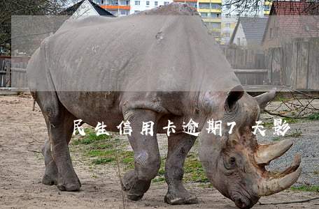 民生信用卡逾期7天影響嗎