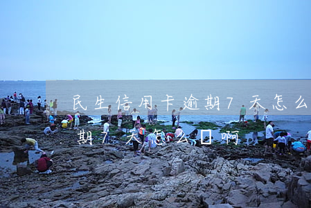 民生信用卡逾期7天怎么辦啊(民生信用卡逾期7天怎么辦啊)