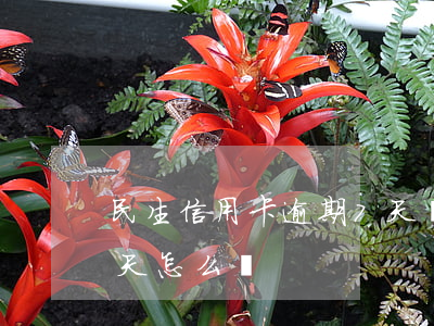 民生信用卡逾期7天還款(民生信用卡逾期7天怎么辦)