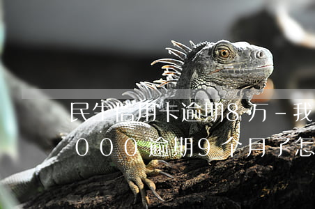 民生信用卡逾期8万-我欠民生信用卡18000逾期9个月了怎么办