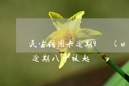 民生信用卡逾期9萬(wàn)起訴(信用卡逾期八千被起訴)