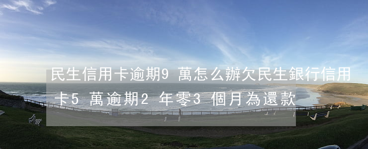 民生信用卡逾期9萬怎么辦(欠民生銀行信用卡5萬逾期2年零3個月為還款)
