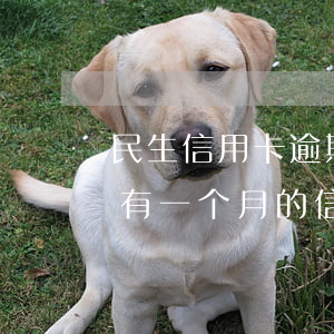 民生信用卡逾期一个月上征信吗-征信报告有一个月的信用卡逾期
