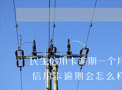 民生信用卡逾期一个月会不会封卡(民生银行信用卡逾期会怎么样)