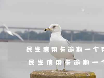 民生信用卡逾期一个月第二个月开始还得-民生信用卡逾期一个月第二个月开始还得还吗