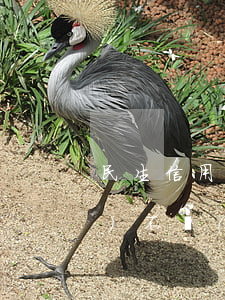 民生信用卡逾期一個(gè)月會(huì)不會(huì)封卡-民生信用卡逾期一個(gè)月會(huì)不會(huì)封卡呢