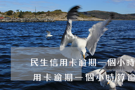 民生信用卡逾期一個小時算逾期嗎-民生信用卡逾期一個小時算逾期嗎怎么辦