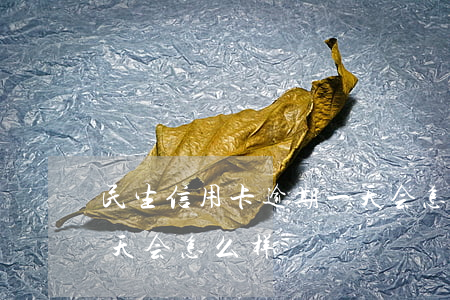 民生信用卡逾期一天会怎么样(便民卡逾期一天会怎么样)