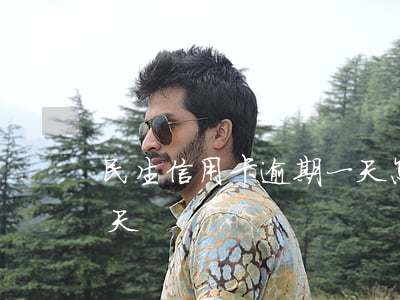 民生信用卡逾期一天怎么补救(便民卡逾期一天)