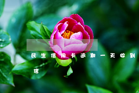 民生信用卡 逾期一天（收到民生信用卡逾期短信）