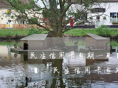 民生信用卡逾期一天會(huì)上征信記錄-民生信用卡 逾期一天