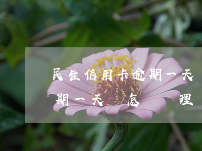 民生信用卡 逾期一天會怎樣-民生信用卡 逾期一天會怎樣處理