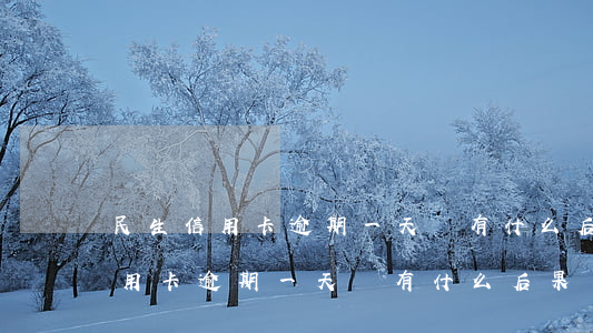 民生信用卡逾期一天會有什么后果-民生信用卡逾期一天會有什么后果嗎