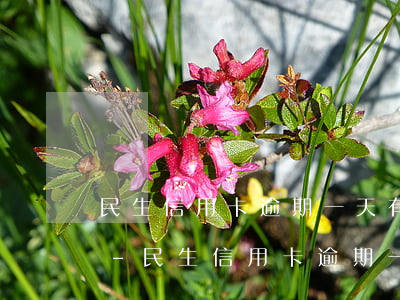 民生信用卡逾期一天有影響嗎浦發(fā)-民生信用卡逾期一天有影響嗎浦發(fā)銀行