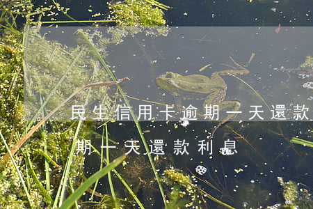 民生信用卡逾期一天還款利息(民生信用卡逾期一天還款利息)