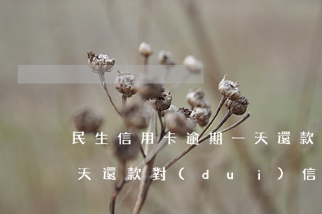 民生信用卡逾期一天還款(民生信用卡逾期一天還款對(duì)信用有影響嗎)