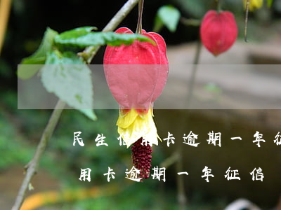 民生信用卡逾期一年征信顯示正常-民生信用卡逾期一年征信顯示正常嗎