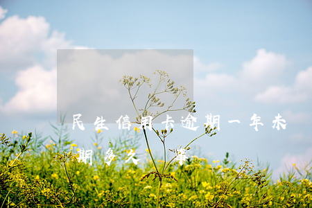 民生信用卡逾期一年未還(民生信用卡可以逾期多久沒事)