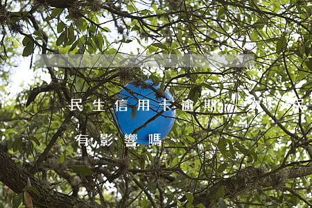 民生信用卡逾期一次-民生信用卡逾期一次有影響嗎