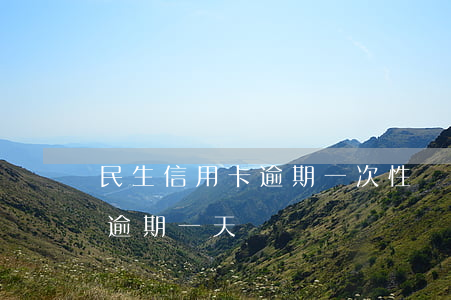民生信用卡逾期一次性償還打折(民生信用卡 逾期一天)