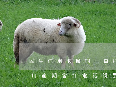 民生信用卡逾期一直打電話怎么辦-民生信用逾期會打電話說要上門?