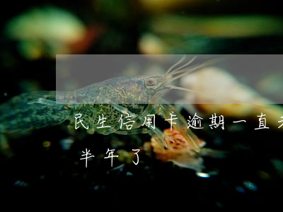 民生信用卡逾期一直未還(民生信用卡逾期了半年了)
