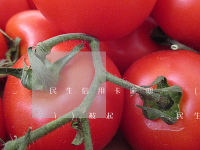 民生信用卡逾期一萬(wàn)八會(huì)被起訴嗎-民生信用卡逾期一萬(wàn)八會(huì)被起訴嗎知乎