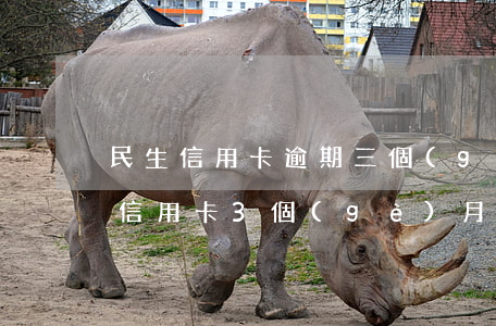 民生信用卡逾期三個(gè)月了怎么辦-信用卡3個(gè)月逾期狀態(tài)