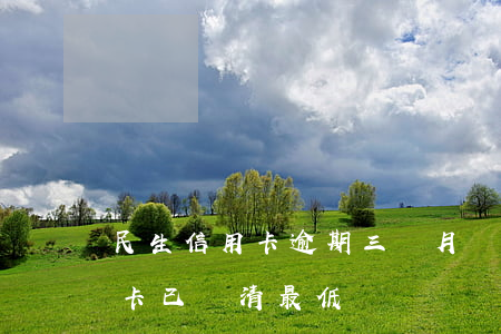 民生信用卡逾期三個月還款(逾期三個月信用卡已還清最低)