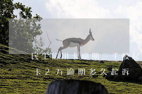 民生信用卡逾期三千被起诉的流程(民生信用卡2万逾期多久起诉)
