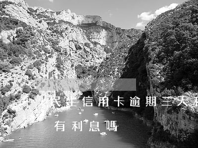 民生信用卡逾期三天利息太高(民生逾期一天有利息嗎)