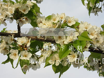 民生信用卡逾期三天怎么辦(民生銀行信用卡逾期一天有沒有影響?)
