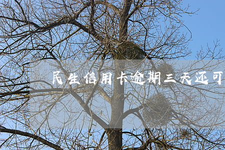 民生信用卡逾期三天还可以吗