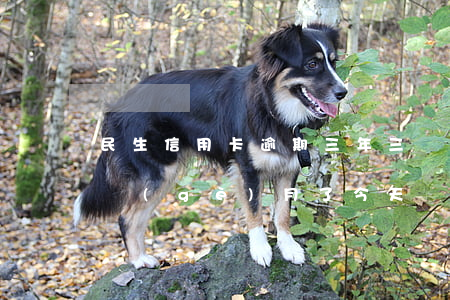 民生信用卡逾期三年三萬(民生信用卡逾期3個(gè)月了今天發(fā)信息來說)