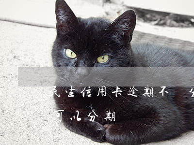 民生信用卡逾期不給分期還款(民生逾期一年可以分期嗎)