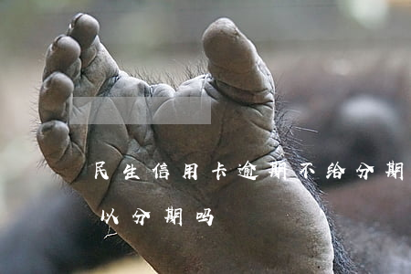 民生信用卡逾期不给分期-民生逾期一年可以分期吗
