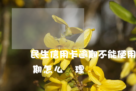 民生信用卡逾期不能使用(民生銀行信用卡逾期怎么處理?)