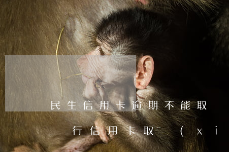 民生信用卡逾期不能取現(xiàn)(民生銀行信用卡取現(xiàn)不了)