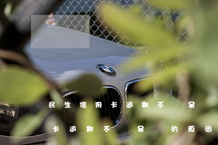 民生信用卡逾期不記呆賬的原因-民生信用卡逾期不記呆賬的原因是