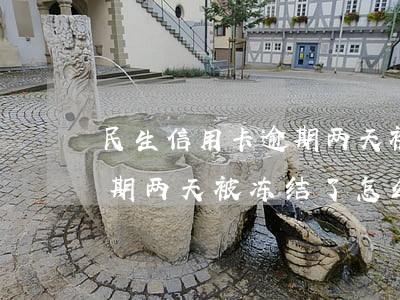 民生信用卡逾期两天被冻结了(民生信用卡逾期两天被冻结了怎么解冻)