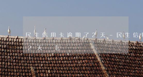 民生信用卡逾期了2天-民生信用卡逾期了2天會怎樣